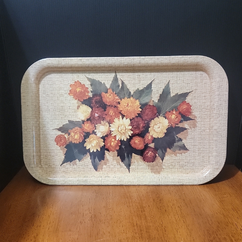 Circa 50s Picnic Trays
